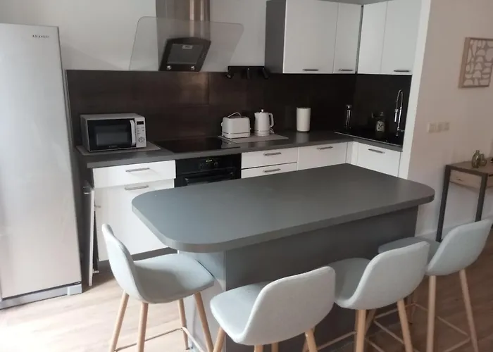 Appartement Renovated Apartment, Hyper Center, Private Parking *