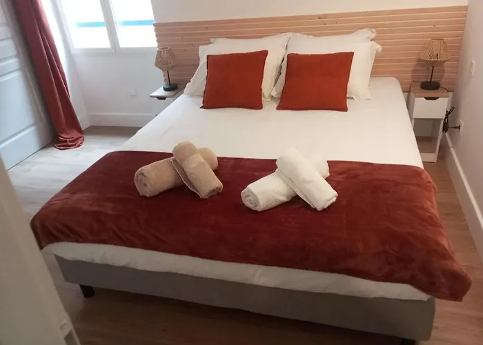 Renovated Apartment, Hyper Center, Private Parking Appartement